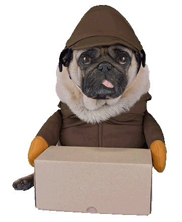 PrimeChime pug mascot